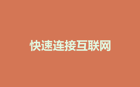 快速连接互联网